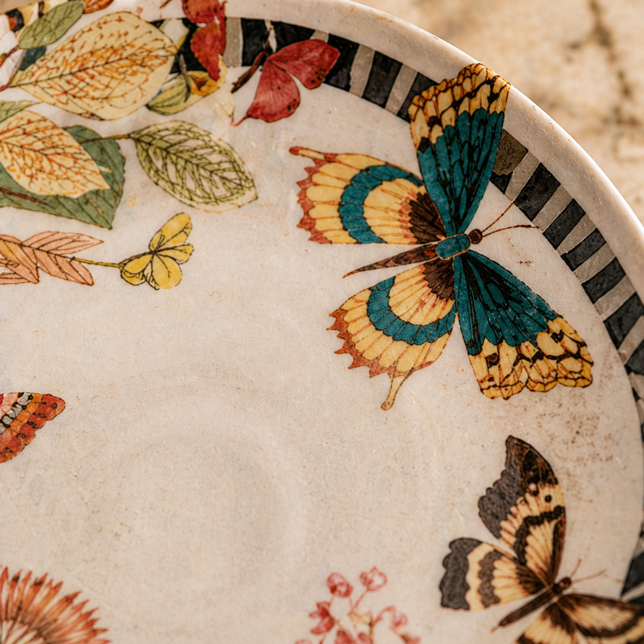 Enchanted Butterfly Garden Plates with Graphic Striped Rim - Set of 4